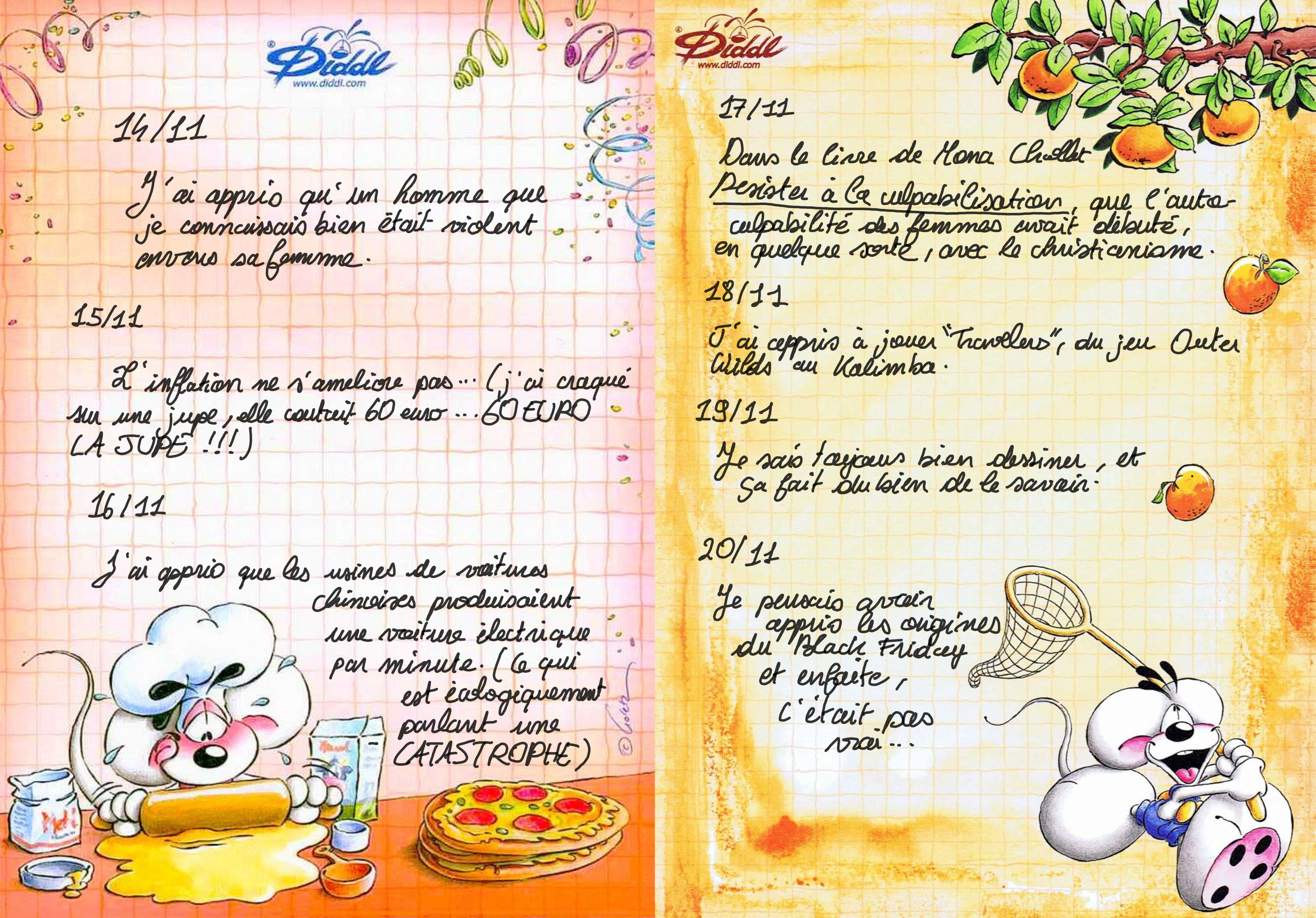 fiche diddle avec des entrées comme un journal intime